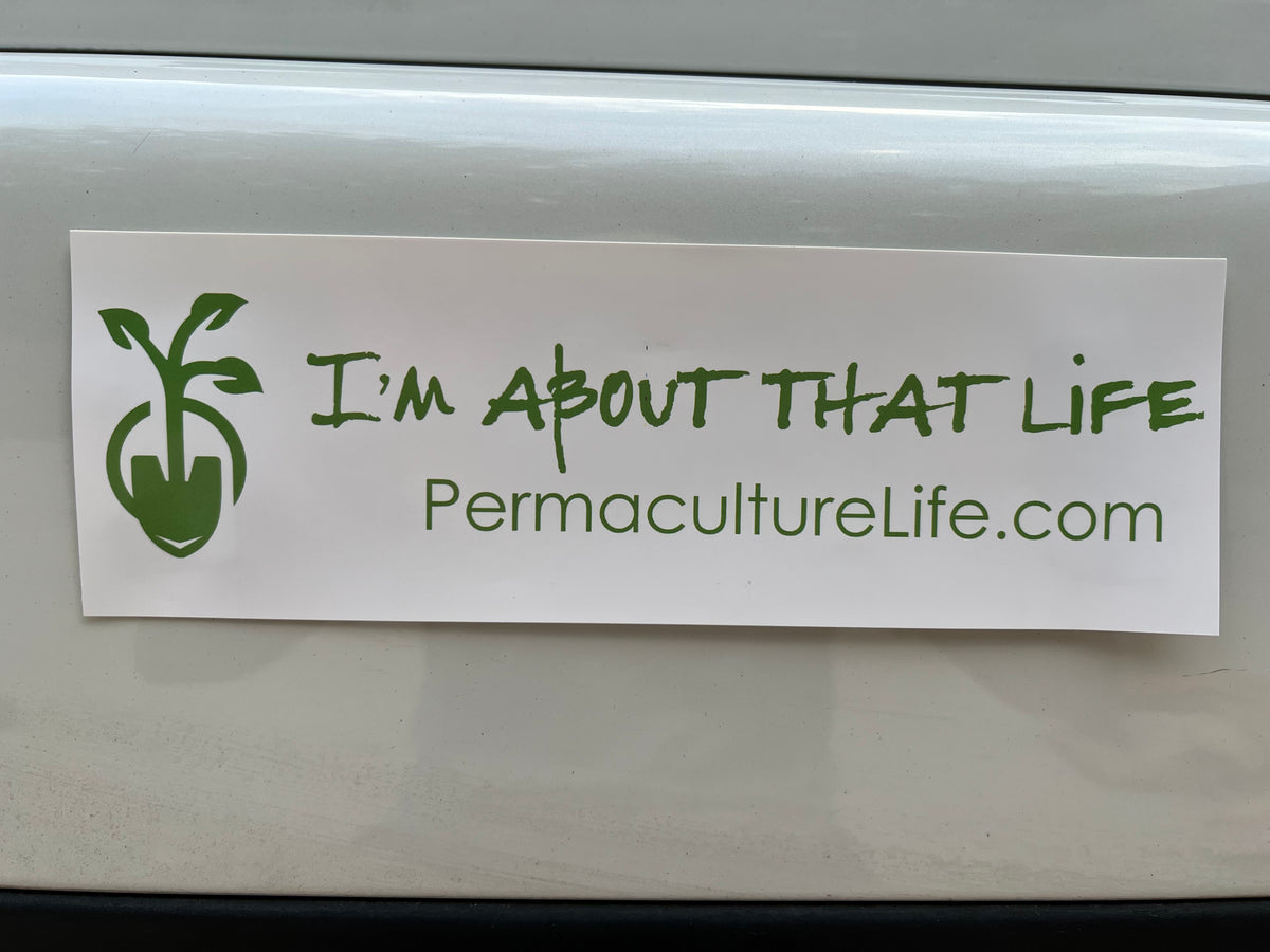 I'm About That Life Bumper Sticker